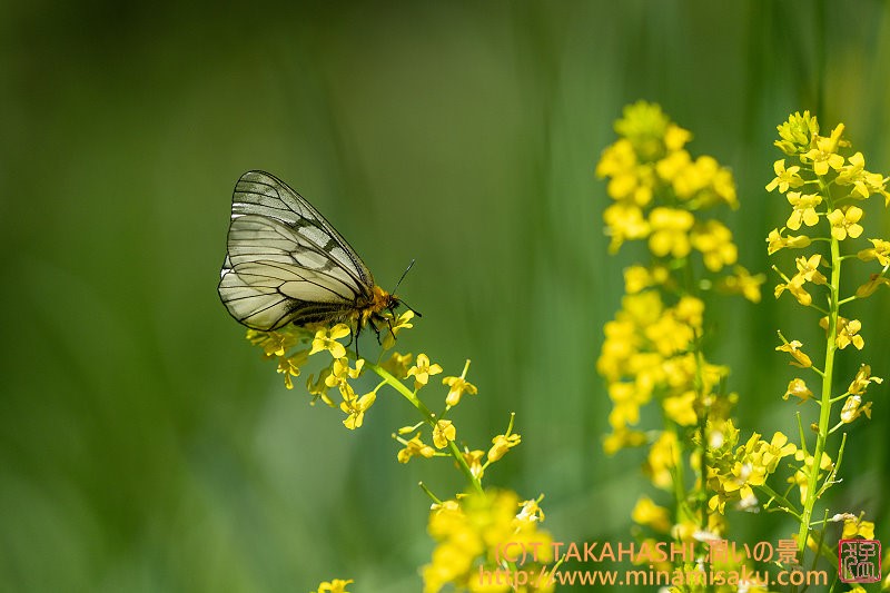 ../Images/7R250511 (21).jpg